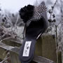 >Feather Mule Shoe Thumbnail 3